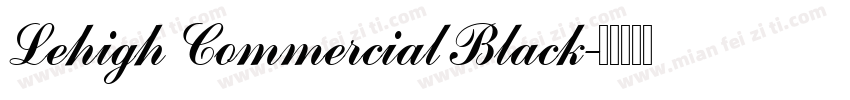 Lehigh Commercial Black字体转换